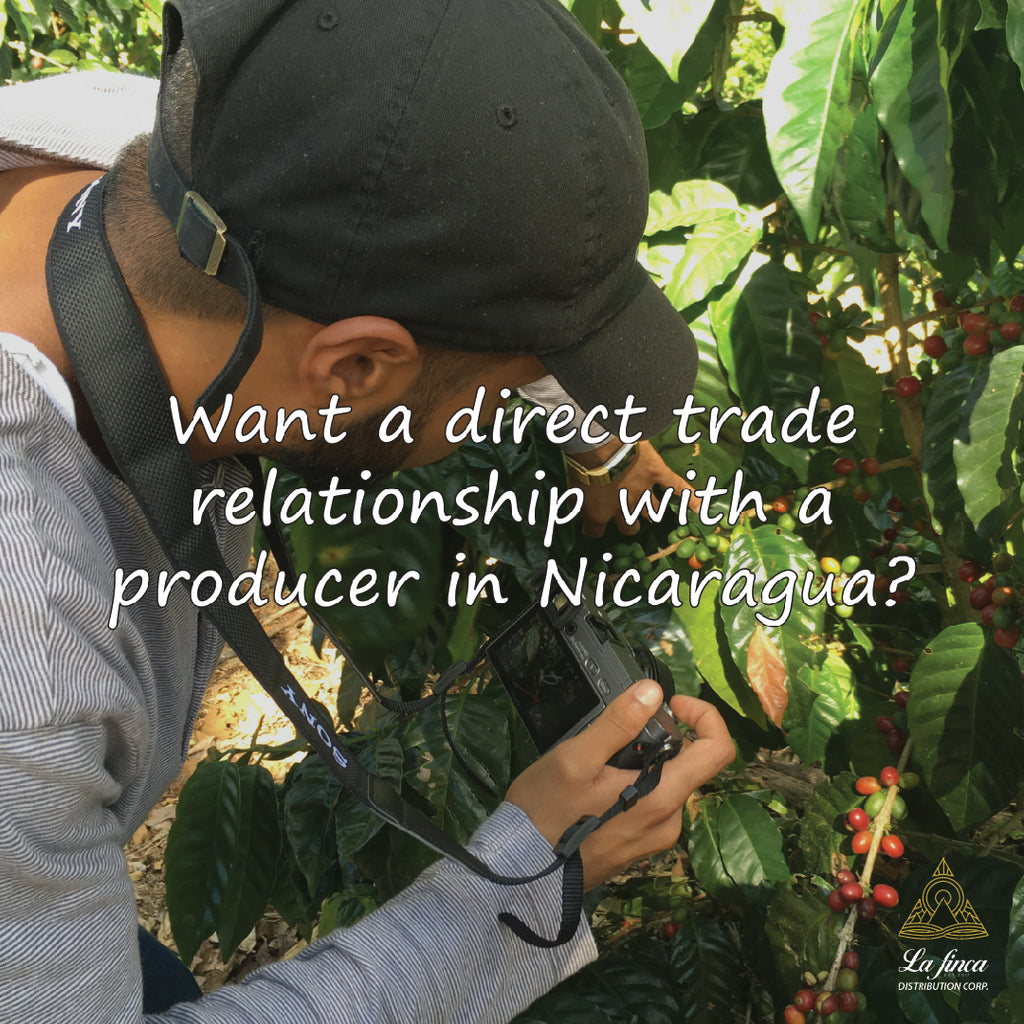 Want a Direct Trade Relationship with a Producer in Nicaragua?