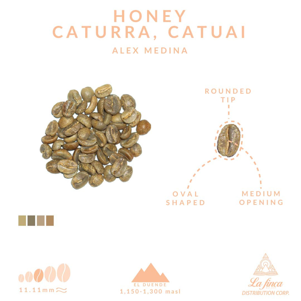 Honey Caturra, Catuai - Alex Medina Nicaragua specialty coffee imported by La Finca Distribution into Canada