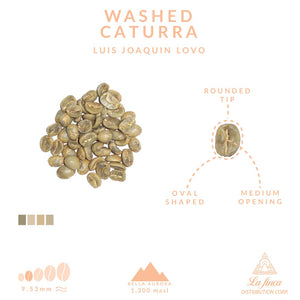 Washed Caturra • Luis Joaquin Lovo