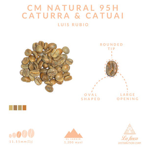 CM Natural 95H Caturra, Catuai • Luis Rubio