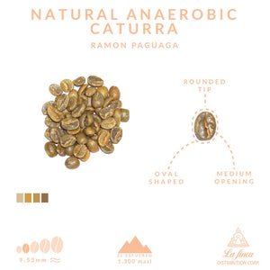 Natural Anaerobic Caturra • Ramon Paguaga