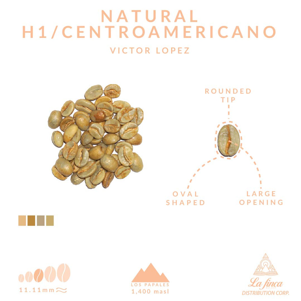 Natural H1 • Victor Lopez