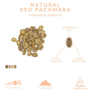 Natural Pacamara - Armando Peralta Nicaragua specialty coffee imported into Canada by La Finca Distribution Corp.