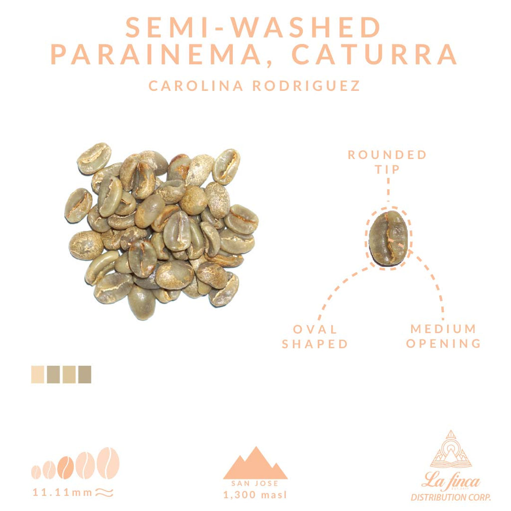 Semi-Washed Parainema, Caturra • Carolina Rodriguez