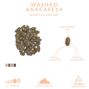 Washed Anacafe14 - Marilec Coffee