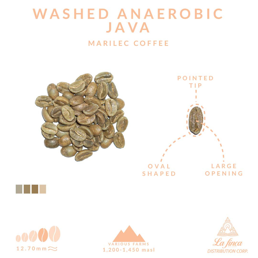 Washed Anaerobic Java - Marilec Coffee