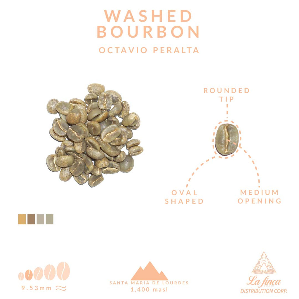 Washed Bourbon - Octavio Peralta