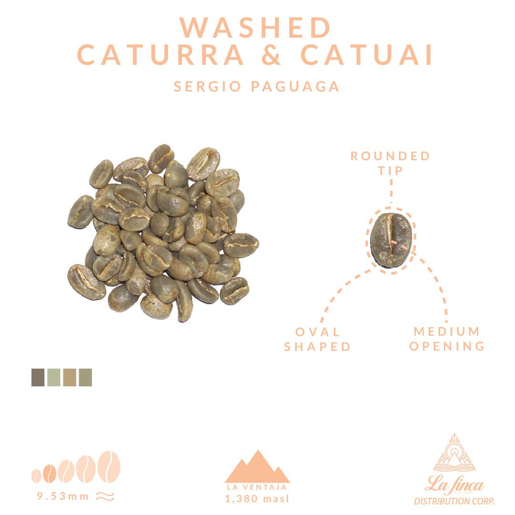 Washed Caturra, Catuai - Sergio Paguaga 